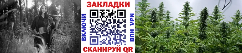 Наркошоп купить ГАШИШ  Alpha-PVP  Кокаин  Меф  Псилоцибиновые грибы  МАРИХУАНА  Шагонар